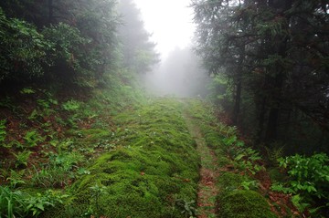 余姚 四明山