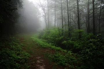 余姚 四明山
