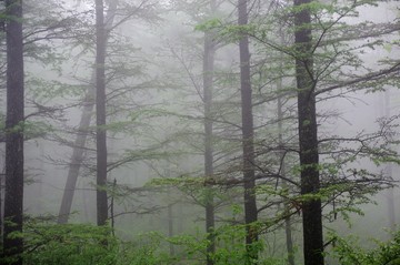 余姚 四明山