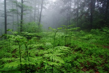 余姚 四明山