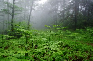 余姚 四明山