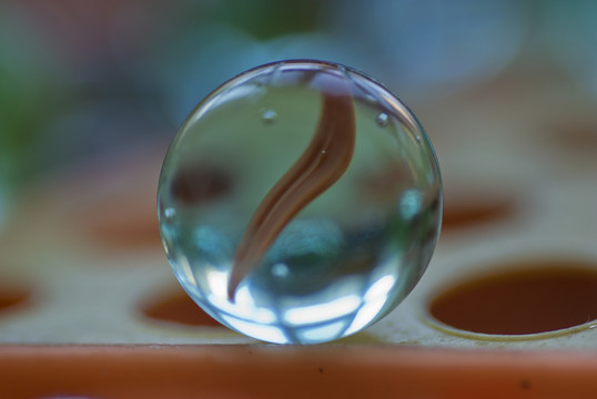 跳棋