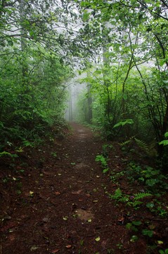 余姚 四明山