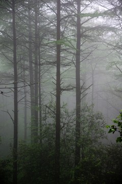 余姚 四明山