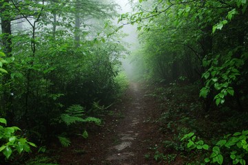 余姚 四明山