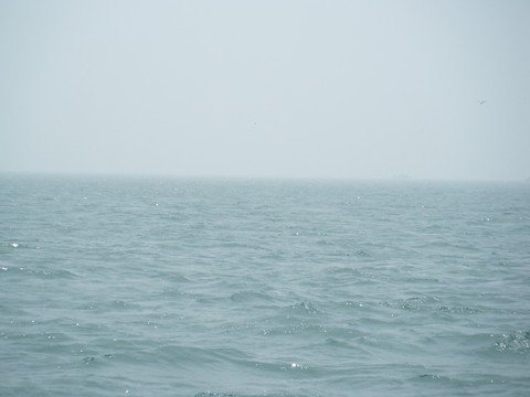 青島海