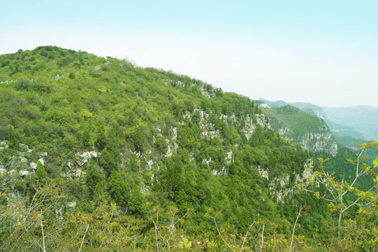 山