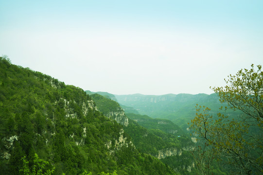 山