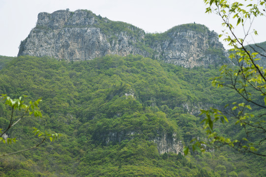 山