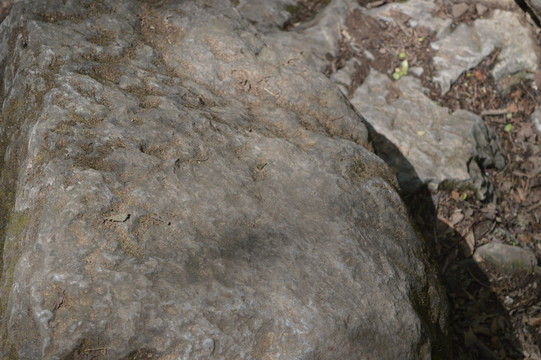 石頭