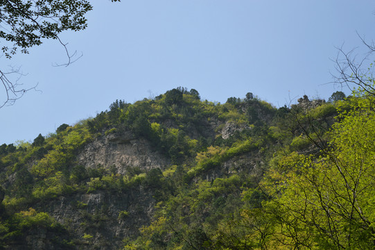山