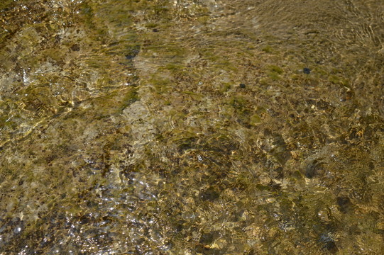 溪水