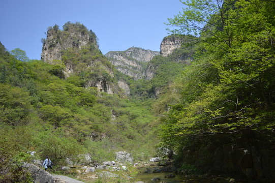 山