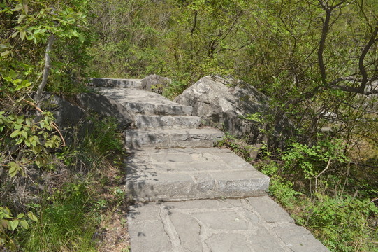 山間小路