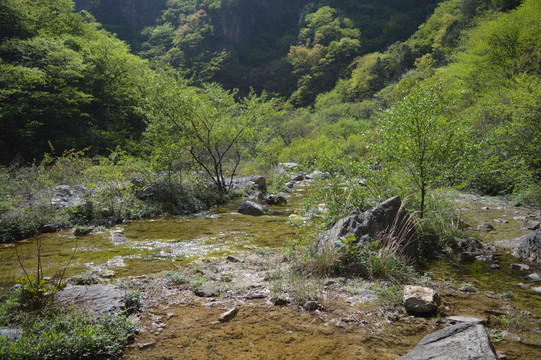 谷底溪水