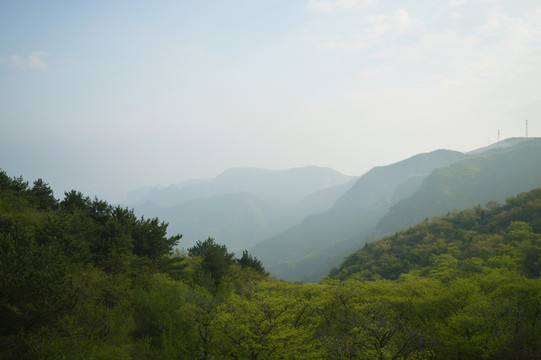 山