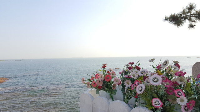 海邊 風景