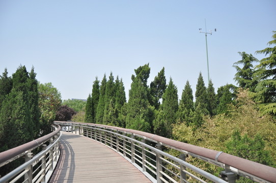 風(fēng)景