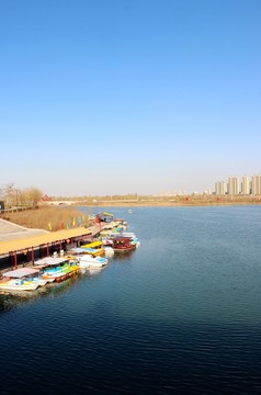 黃河樓上看黃河