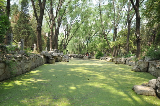 池塘風(fēng)景