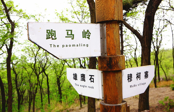 指示牌 景區(qū)