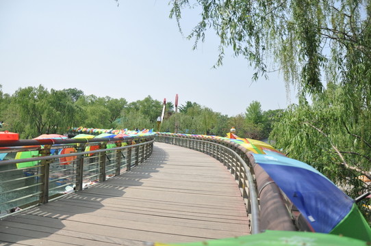 橋面春景