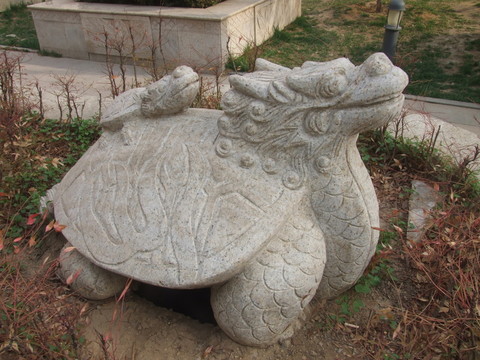 龍龜