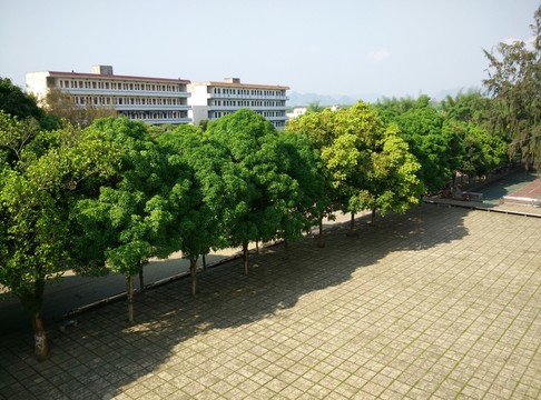 校園一角