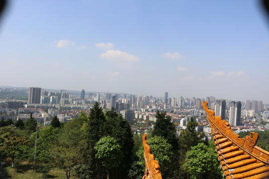 科技城