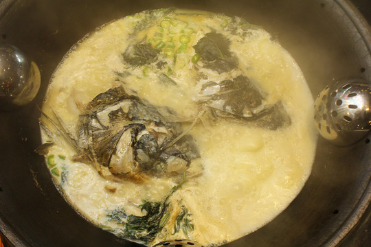 魚頭