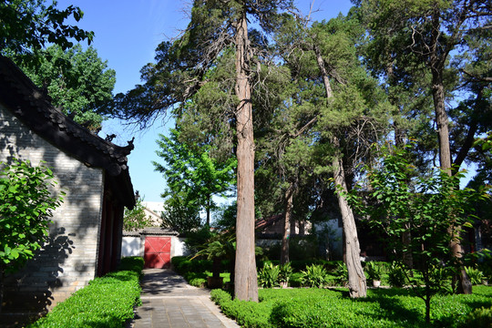 松林書院