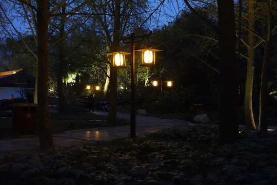 公園夜景