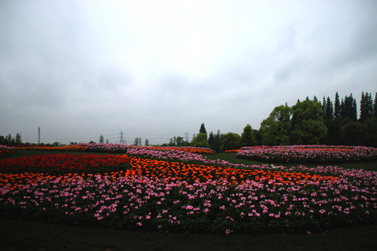 花園