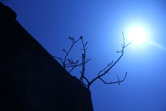 月亮下