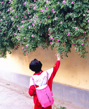 小學(xué)生 摘花