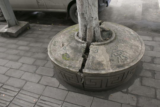 茶