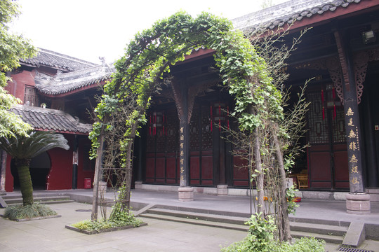 銀杏樹