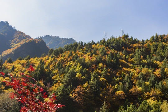 達古冰山景區(qū)風光