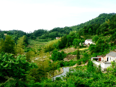 山上人家