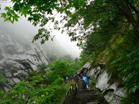 云霧中的大別山 霧中登山