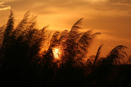 夕陽(yáng) 日落
