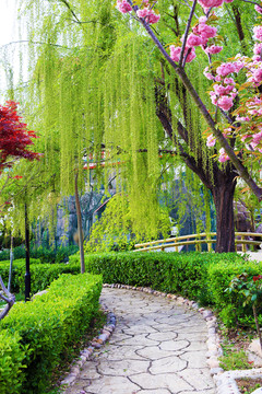 公園一角