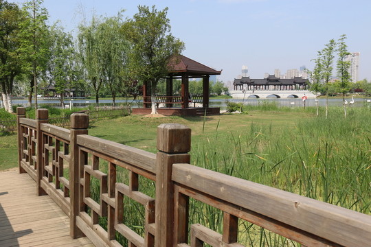 沙湖公園風(fēng)景