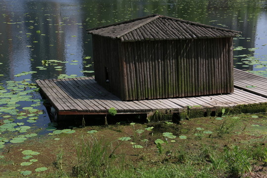 沙湖公園風景