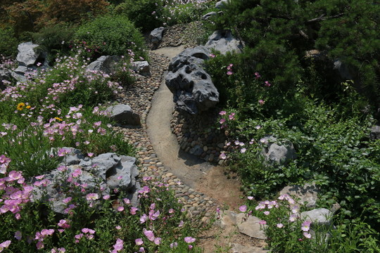 沙湖公園風(fēng)景