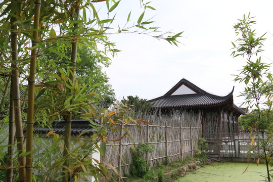 沙湖公園風(fēng)景