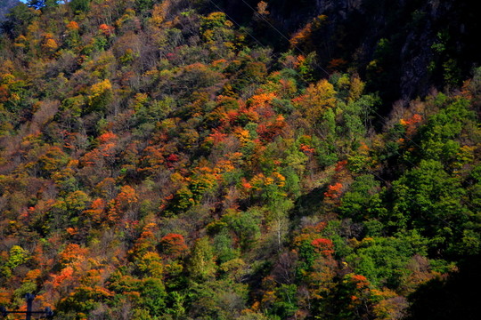 畢棚溝 紅葉