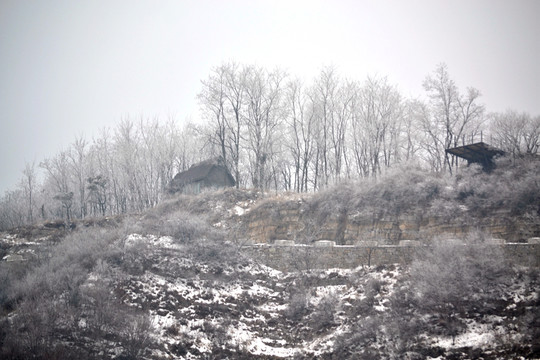 山上的雪