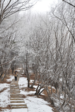 小路