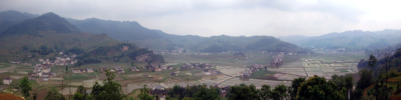 春天的田野